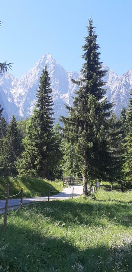 Ferienwohnung Nigritella Kranjska Gora Exterior foto